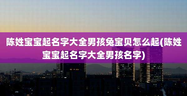 陈姓宝宝起名字大全男孩兔宝贝怎么起(陈姓宝宝起名字大全男孩名字)