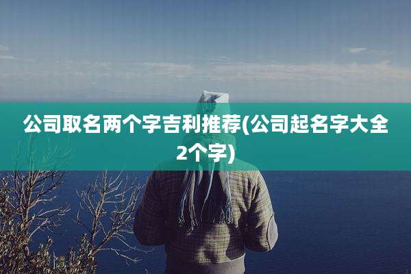 公司取名两个字吉利推荐(公司起名字大全2个字)