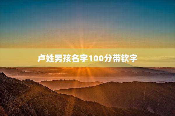 卢姓男孩名字100分带钦字