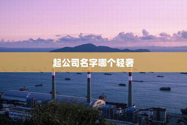 起公司名字哪个轻奢