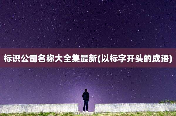标识公司名称大全集最新(以标字开头的成语)