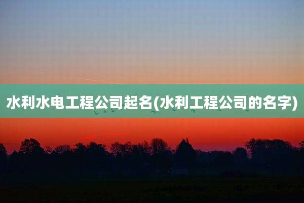 水利水电工程公司起名(水利工程公司的名字)