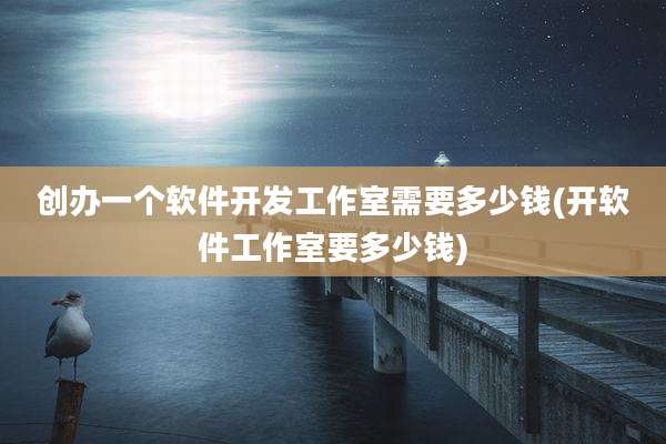 创办一个软件开发工作室需要多少钱(开软件工作室要多少钱)