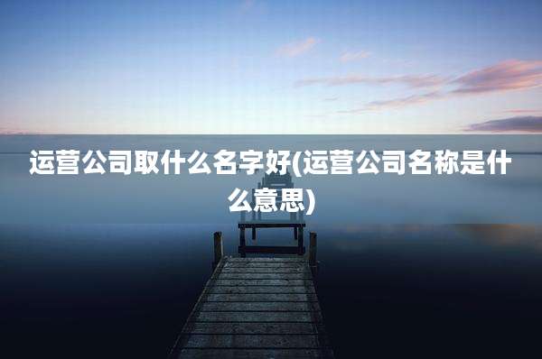 运营公司取什么名字好(运营公司名称是什么意思)