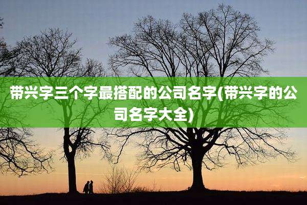 带兴字三个字最搭配的公司名字(带兴字的公司名字大全)