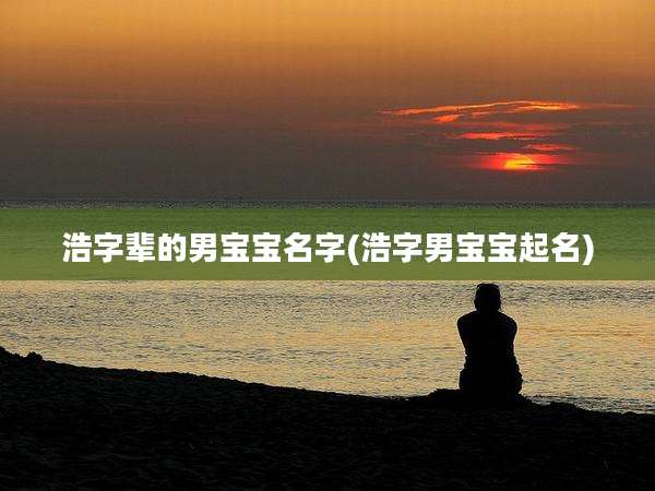 浩字辈的男宝宝名字(浩字男宝宝起名)