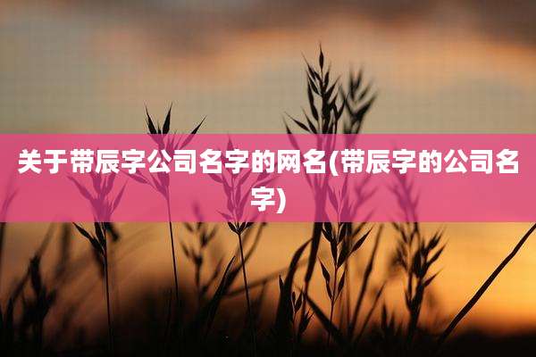 关于带辰字公司名字的网名(带辰字的公司名字)