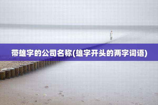 带雄字的公司名称(雄字开头的两字词语)