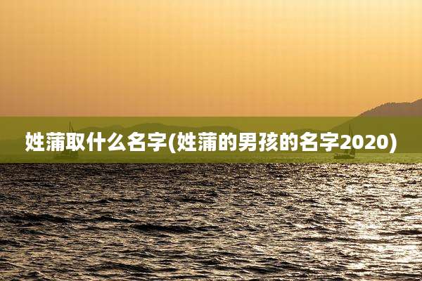 姓蒲取什么名字(姓蒲的男孩的名字2020)