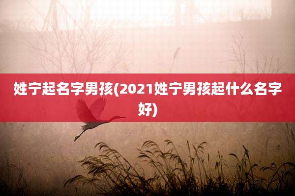 姓宁起名字男孩(2021姓宁男孩起什么名字好)