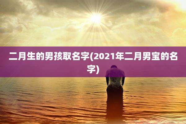 二月生的男孩取名字(2021年二月男宝的名字)