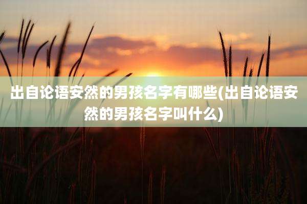 出自论语安然的男孩名字有哪些(出自论语安然的男孩名字叫什么)