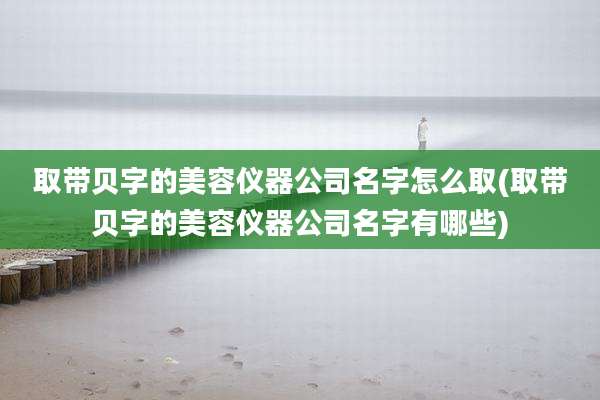 取带贝字的美容仪器公司名字怎么取(取带贝字的美容仪器公司名字有哪些)
