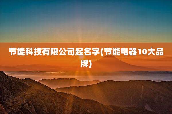 节能科技有限公司起名字(节能电器10大品牌)