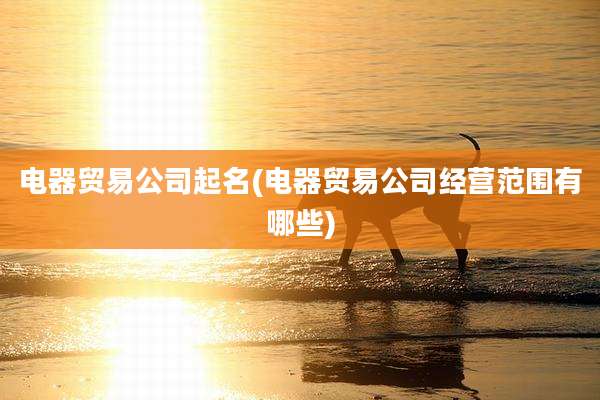 电器贸易公司起名(电器贸易公司经营范围有哪些)