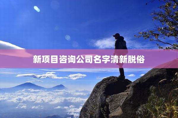 新项目咨询公司名字清新脱俗