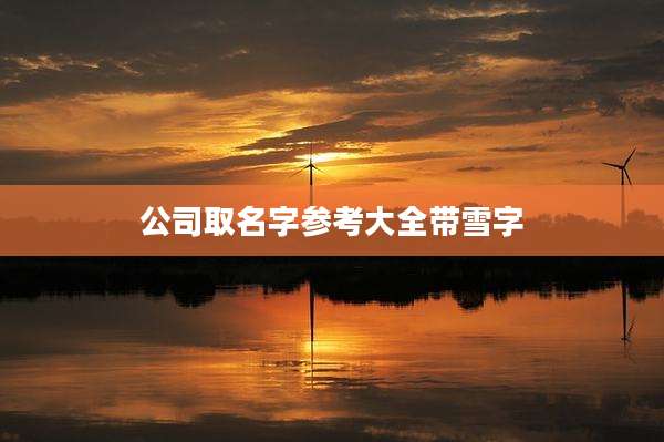 公司取名字参考大全带雪字