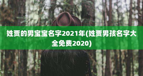 姓贾的男宝宝名字2021年(姓贾男孩名字大全免费2020)