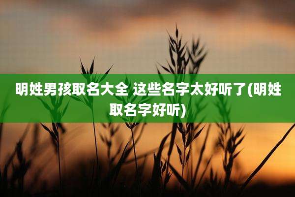明姓男孩取名大全 这些名字太好听了(明姓取名字好听)