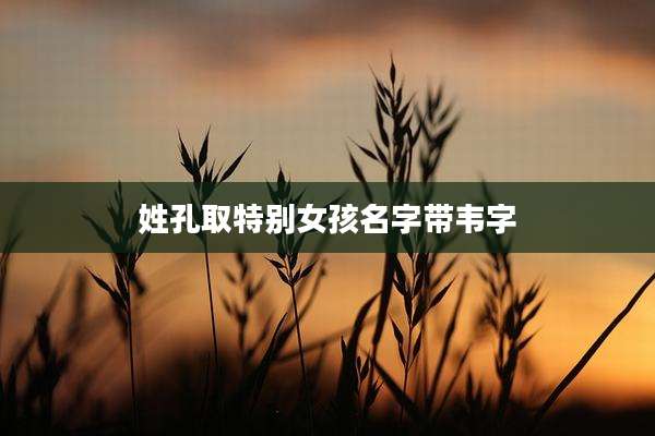 姓孔取特别女孩名字带韦字