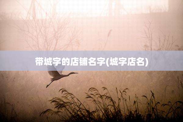 带城字的店铺名字(城字店名)