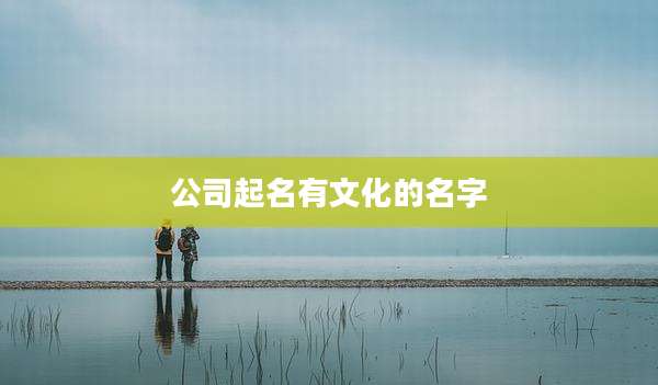 公司起名有文化的名字