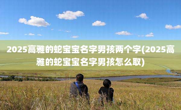 2025高雅的蛇宝宝名字男孩两个字(2025高雅的蛇宝宝名字男孩怎么取)