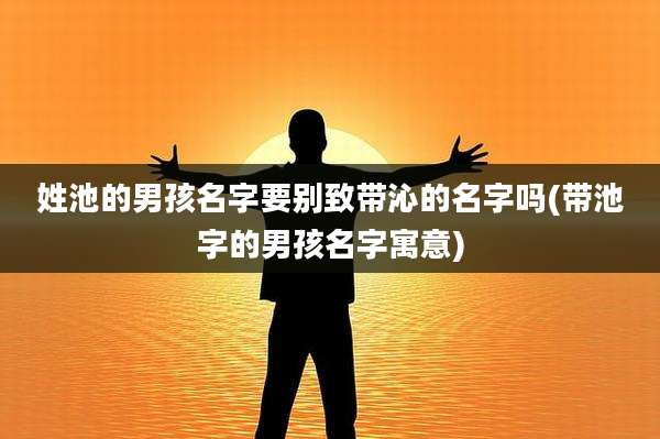姓池的男孩名字要别致带沁的名字吗(带池字的男孩名字寓意)