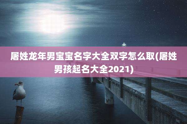屠姓龙年男宝宝名字大全双字怎么取(屠姓男孩起名大全2021)