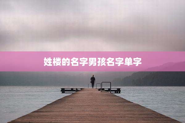 姓楼的名字男孩名字单字