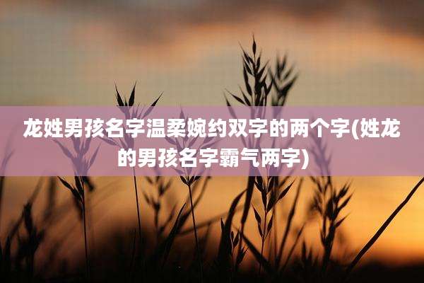 龙姓男孩名字温柔婉约双字的两个字(姓龙的男孩名字霸气两字)