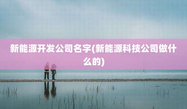 新能源开发公司名字(新能源科技公司做什么的)
