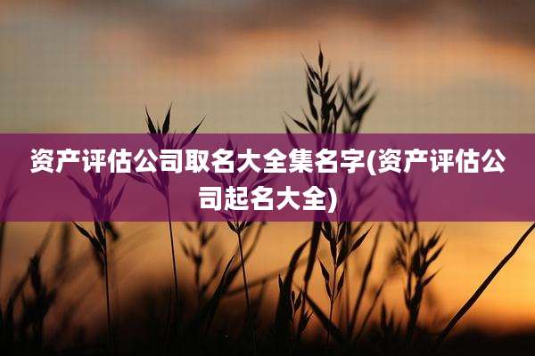 资产评估公司取名大全集名字(资产评估公司起名大全)