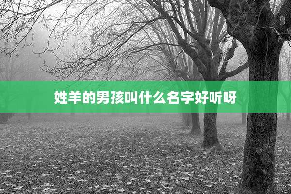 姓羊的男孩叫什么名字好听呀