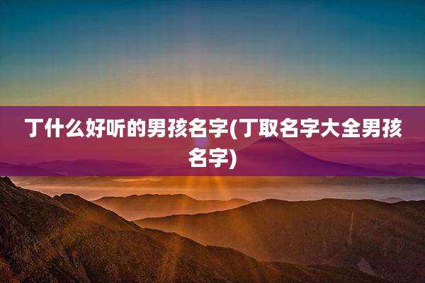 丁什么好听的男孩名字(丁取名字大全男孩名字)