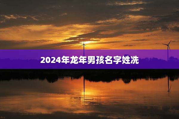2024年龙年男孩名字姓冼