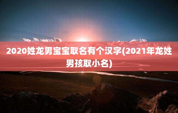 2020姓龙男宝宝取名有个汉字(2021年龙姓男孩取小名)