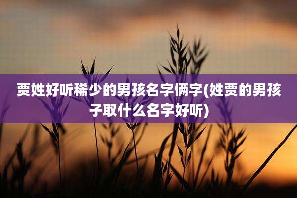 贾姓好听稀少的男孩名字俩字(姓贾的男孩子取什么名字好听)