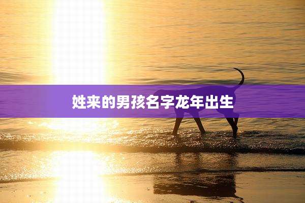 姓来的男孩名字龙年出生