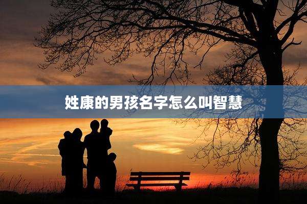 姓康的男孩名字怎么叫智慧