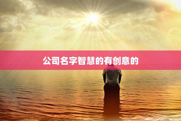 公司名字智慧的有创意的