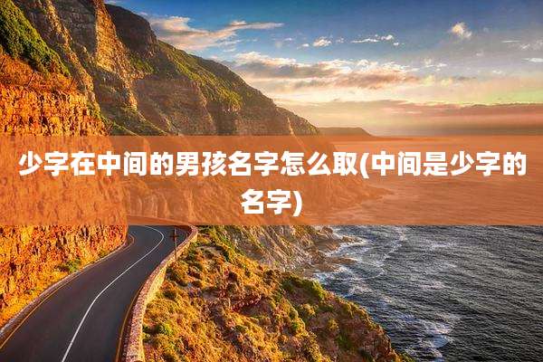 少字在中间的男孩名字怎么取(中间是少字的名字)