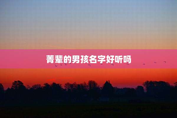 菁辈的男孩名字好听吗