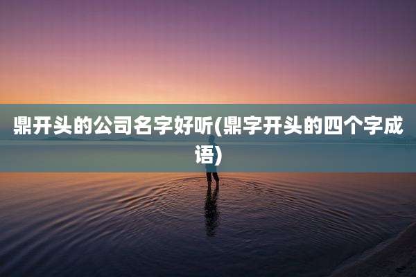 鼎开头的公司名字好听(鼎字开头的四个字成语)