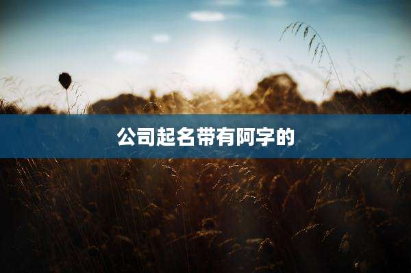 公司起名带有阿字的