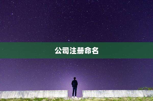 公司注册命名