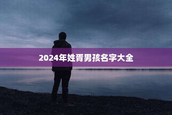 2024年姓胥男孩名字大全