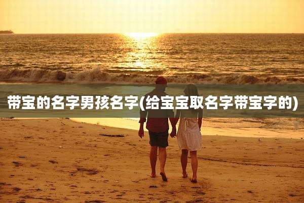 带宝的名字男孩名字(给宝宝取名字带宝字的)