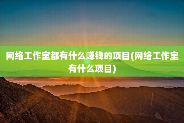 网络工作室都有什么赚钱的项目(网络工作室有什么项目)