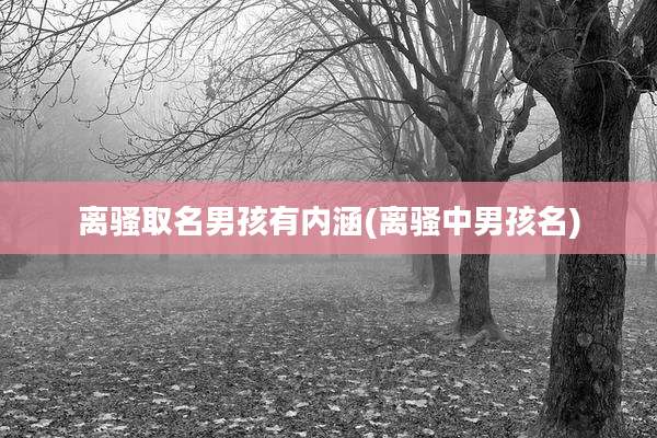 离骚取名男孩有内涵(离骚中男孩名)
